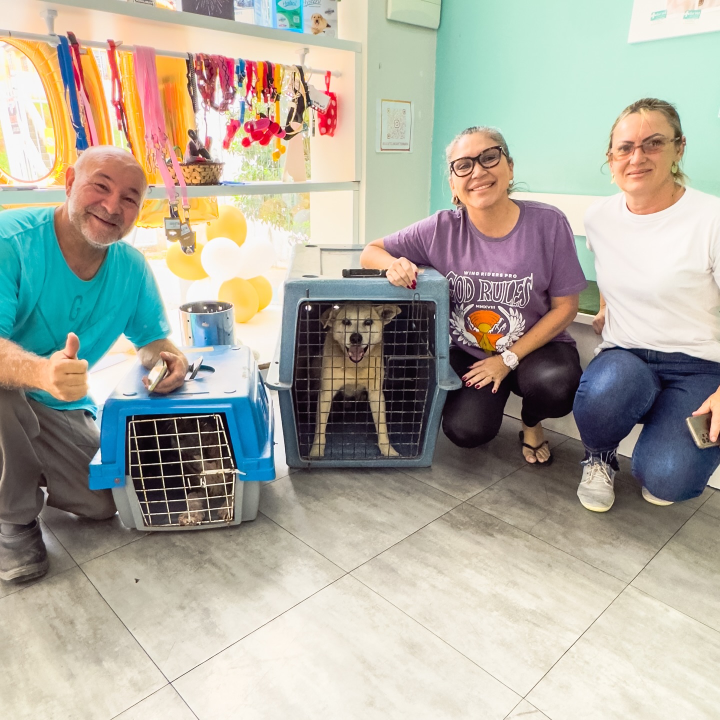 Duke com pata gravemente ferida, vai ser amputada